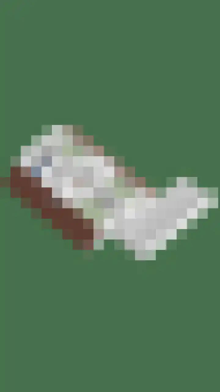 Hermelijnedreef 3 Oss thumbnail 70