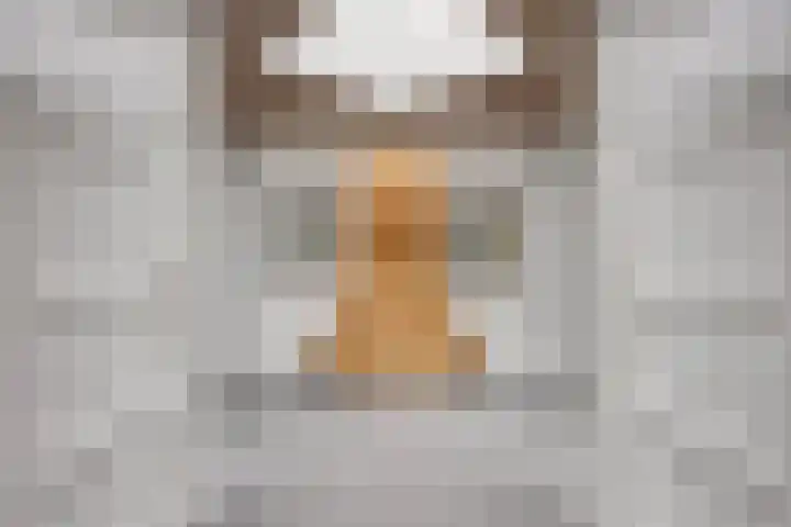 Hermelijnedreef 3 Oss thumbnail 8