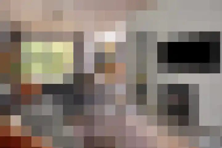 Hermelijnedreef 3 Oss thumbnail 9