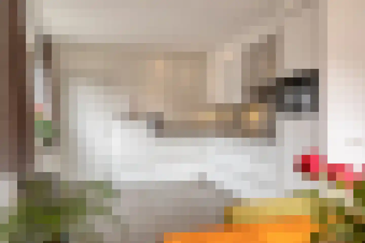 Hermelijnedreef 6 Oss foto 2