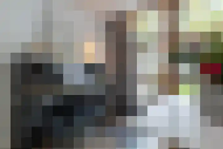 Hermelijnhage 19 Berlicum thumbnail 22