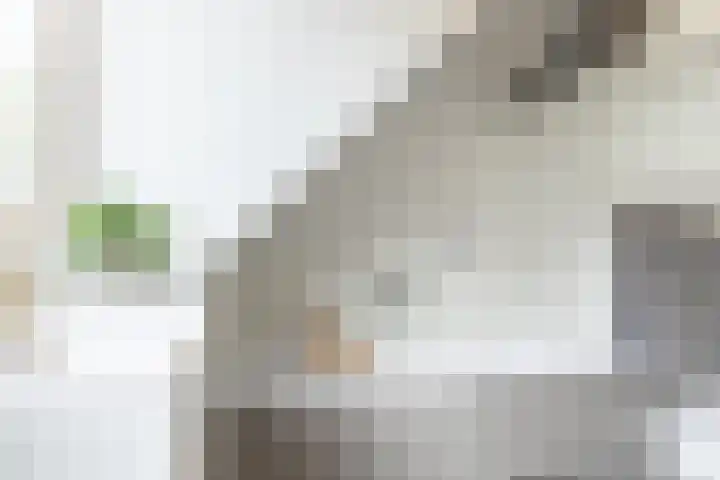 Hermelijnhage 19 Berlicum thumbnail 40