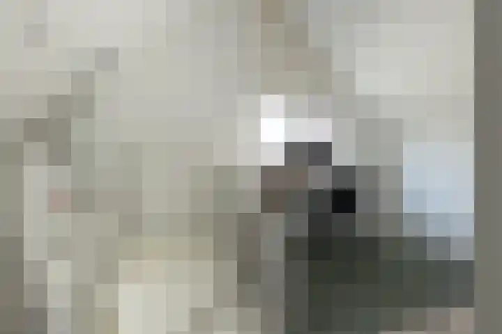 Hermelijnhage 19 Berlicum thumbnail 41