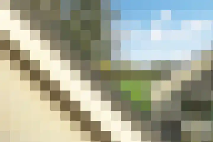 Hermelijnhage 19 Berlicum thumbnail 48