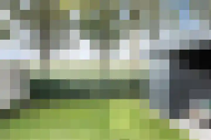 Hermelijnhage 19 Berlicum thumbnail 49