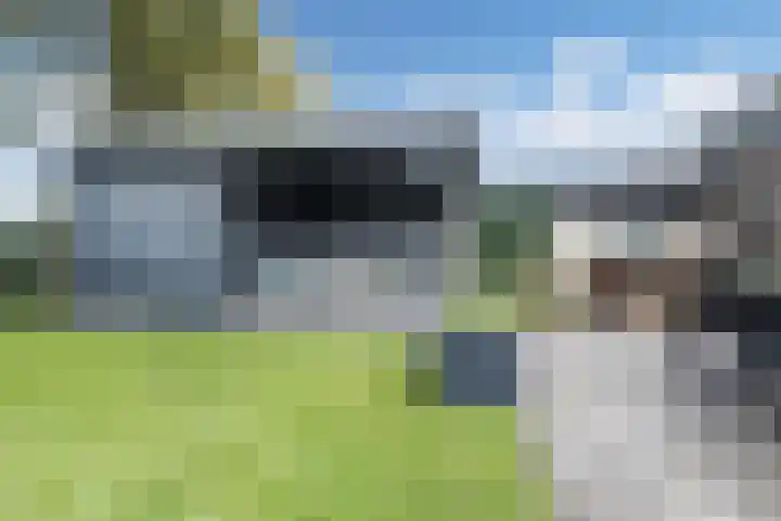 Hermelijnhage 19 Berlicum thumbnail 50