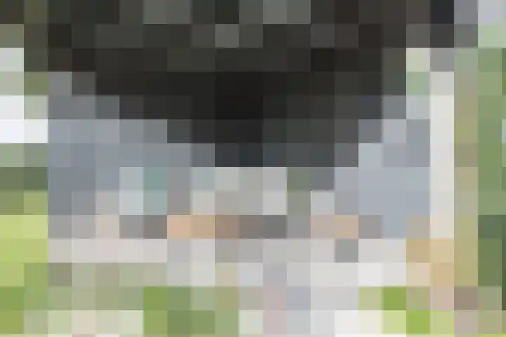 Hermelijnhage 19 Berlicum thumbnail 52