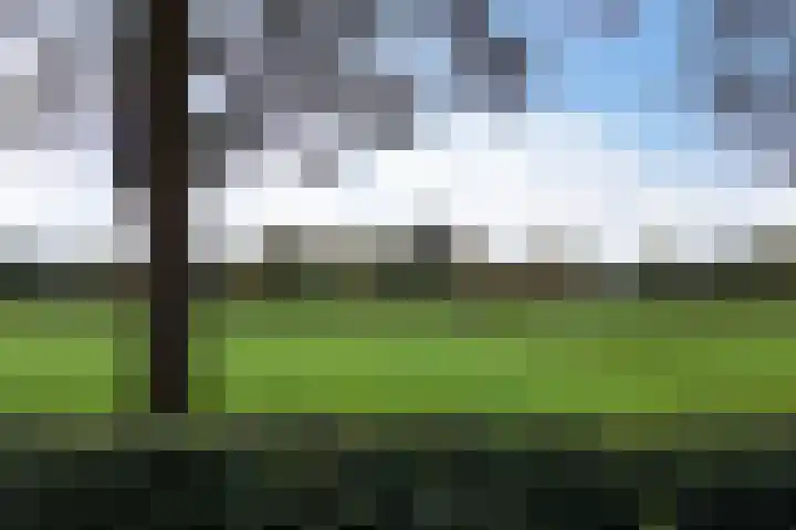 Hermelijnhage 19 Berlicum thumbnail 55