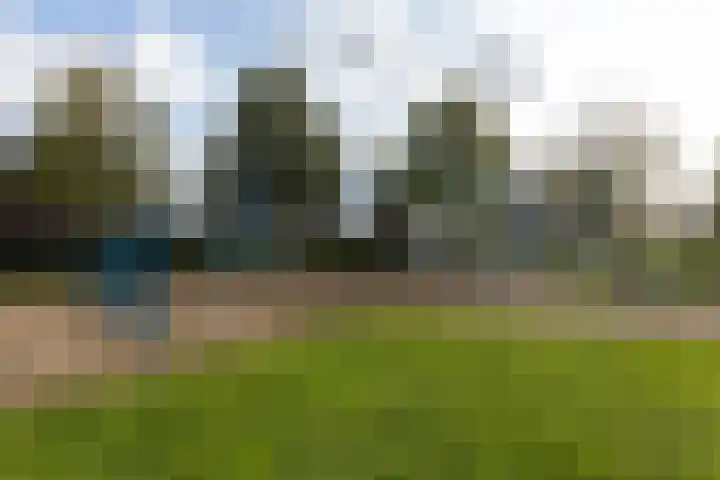 Hermelijnhage 19 Berlicum thumbnail 59
