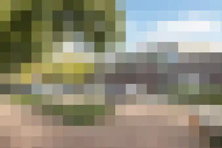 Hermelijnhage 19 Berlicum thumbnail 60