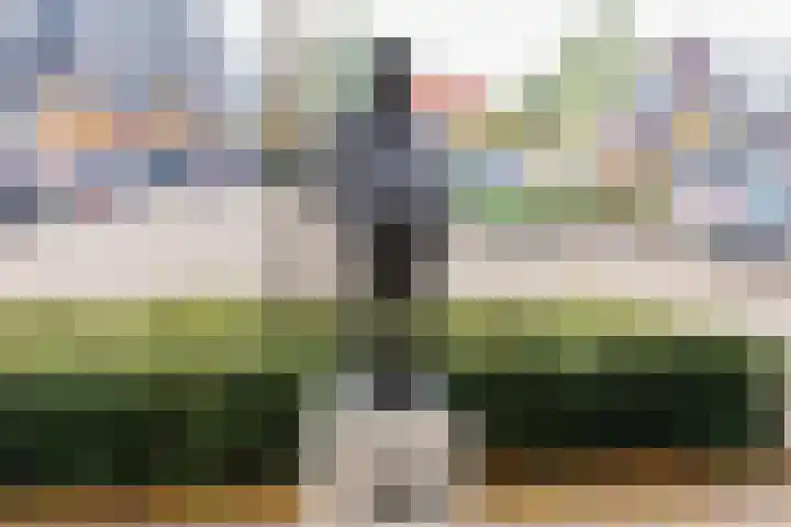 Hermelijnhage 19 Berlicum thumbnail 61