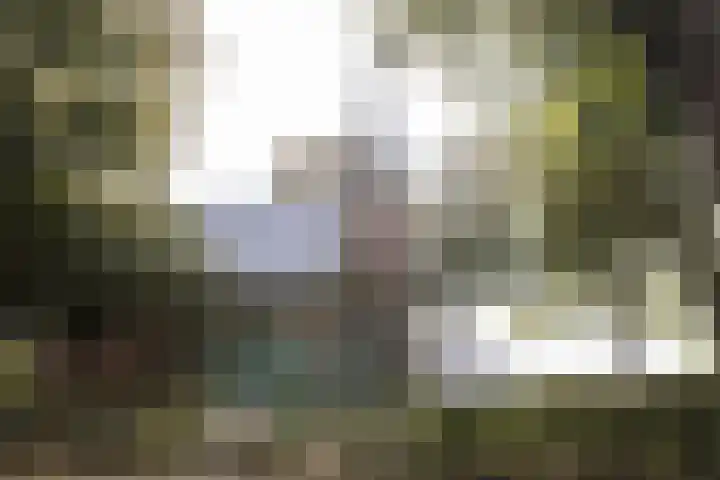 Hermelijnhage 19 Berlicum thumbnail 63