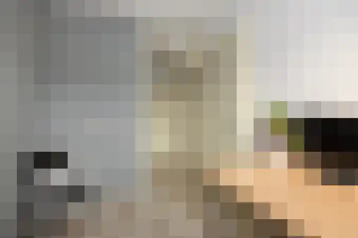 Hermelijnhage 49 Berlicum thumbnail 17