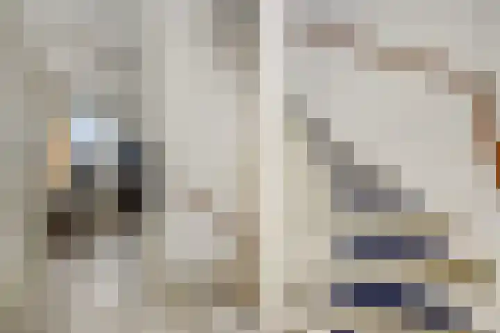 Hermelijnhage 49 Berlicum thumbnail 25