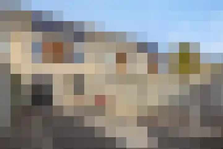 Hermelijnhage 49 Berlicum thumbnail 30