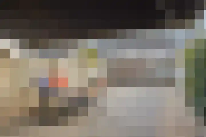 Hermelijnhage 49 Berlicum thumbnail 32