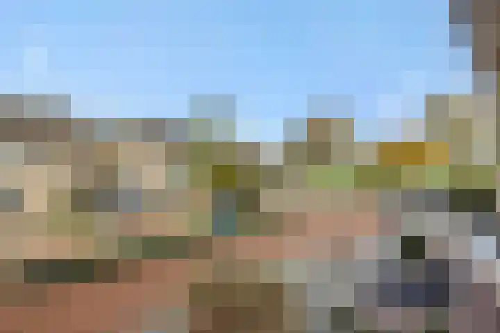 Hermelijnhage 49 Berlicum thumbnail 33