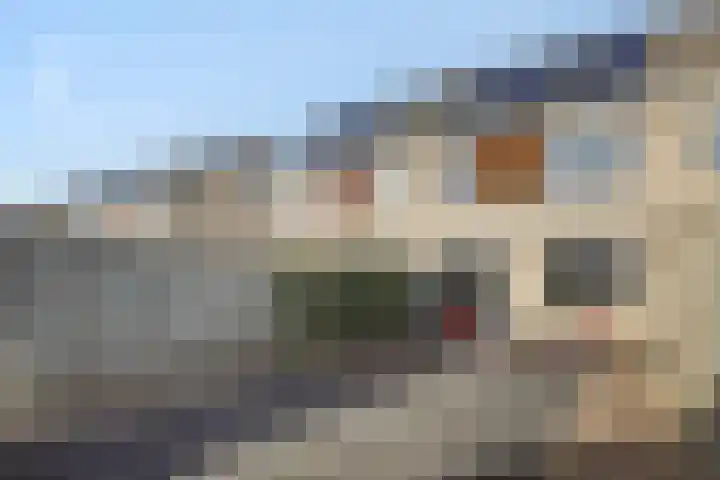 Hermelijnhage 49 Berlicum thumbnail 4