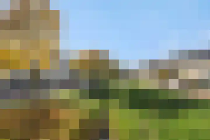 Hermelijnhage 49 Berlicum thumbnail 40