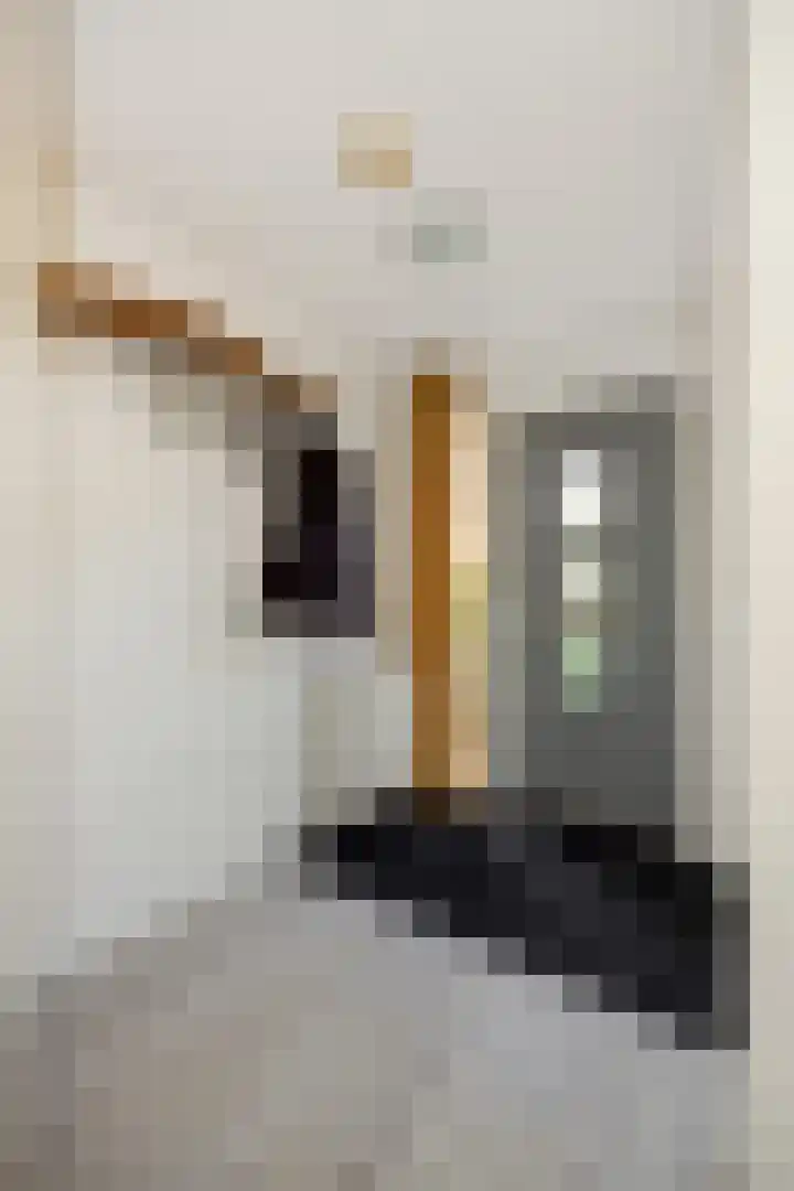 Hermelijnhage 49 Berlicum thumbnail 5