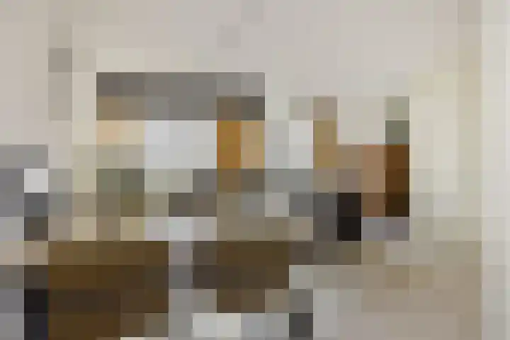 Hermelijnhage 49 Berlicum thumbnail 9