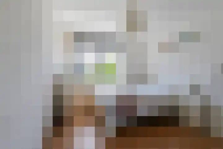 Hermelijnhage 53 Berlicum thumbnail 26