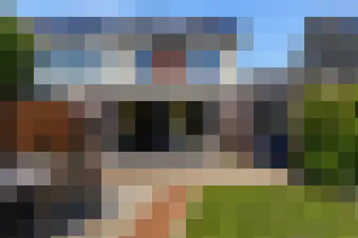 Hermelijnhage 53 Berlicum thumbnail 49