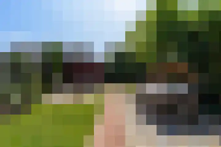 Hermelijnhage 53 Berlicum thumbnail 50