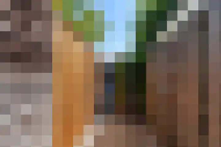Hermelijnhage 53 Berlicum thumbnail 55