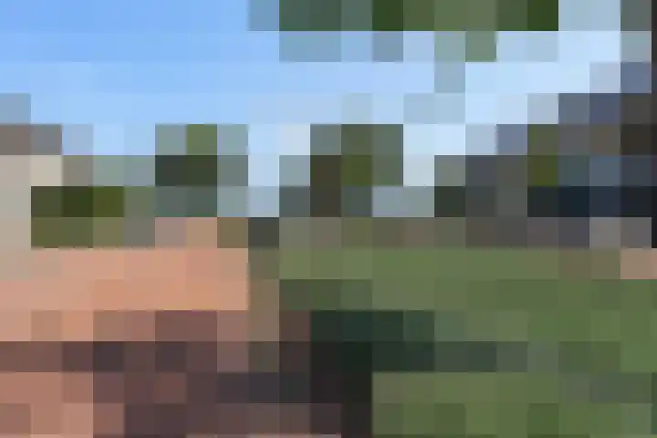 Hermelijnhage 53 Berlicum thumbnail 60