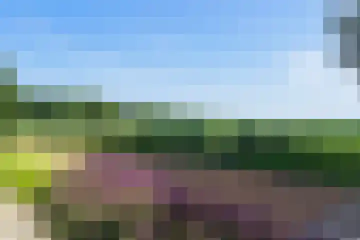 Hermelijnhage 53 Berlicum thumbnail 63
