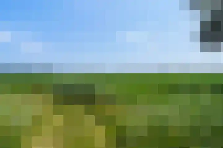 Hermelijnhage 53 Berlicum thumbnail 64