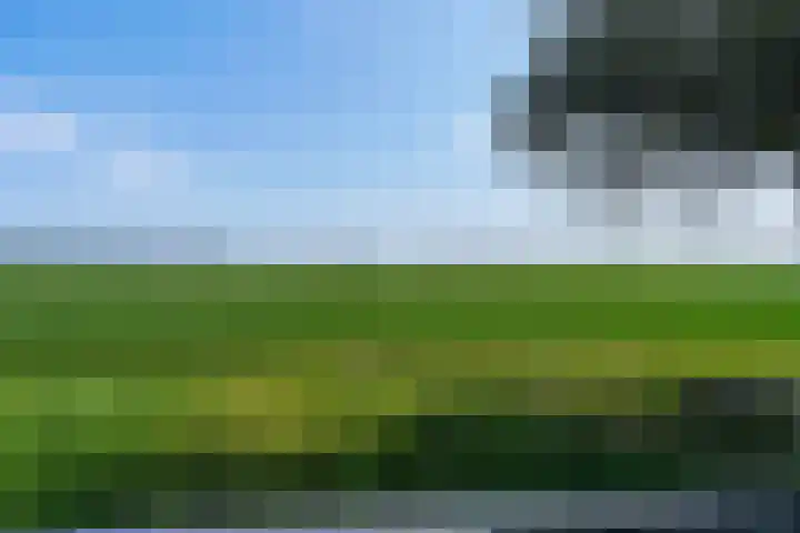 Hermelijnhage 53 Berlicum thumbnail 65