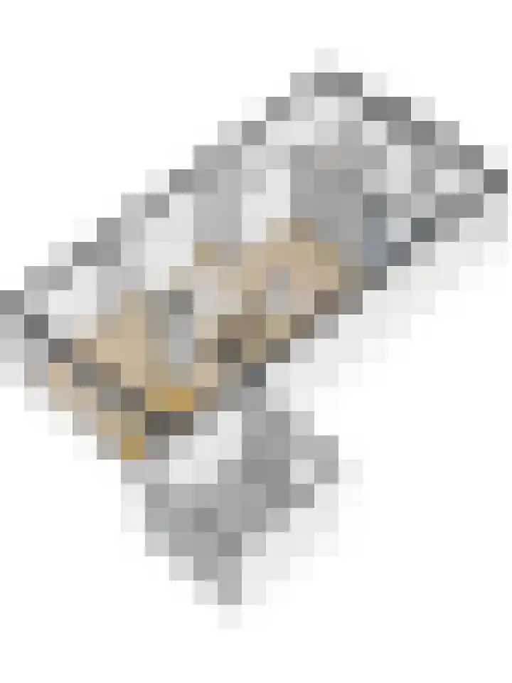 Hermelijnhage 53 Berlicum thumbnail 67