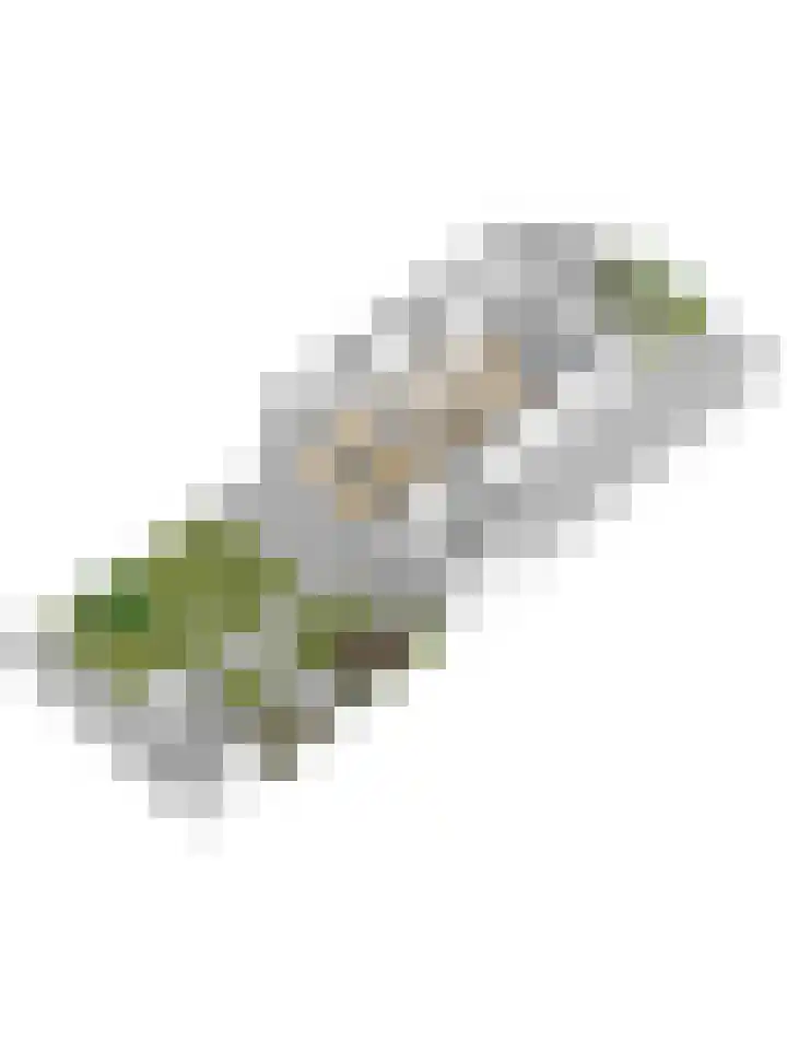 Hermelijnhage 53 Berlicum thumbnail 76