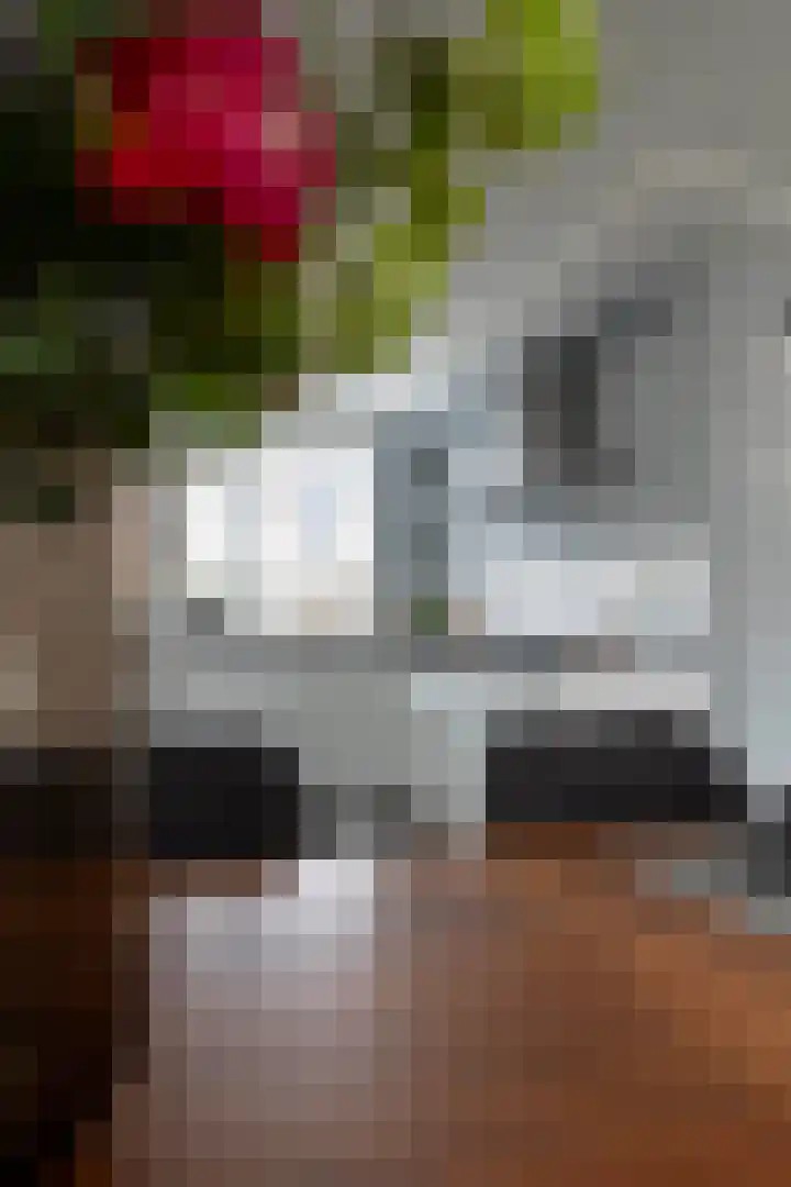 Hermelijnhage 63 Berlicum thumbnail 18