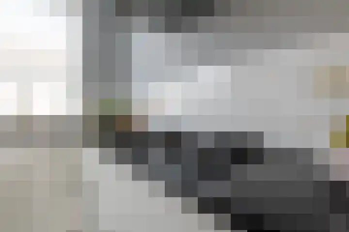 Hermelijnhage 63 Berlicum thumbnail 21