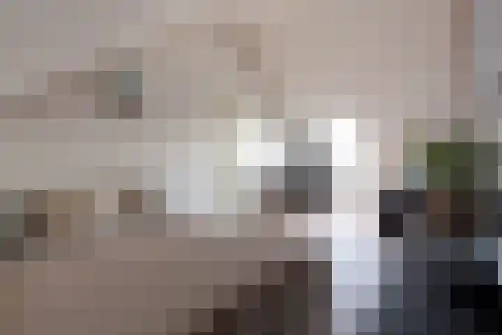 Hermelijnhage 63 Berlicum thumbnail 41