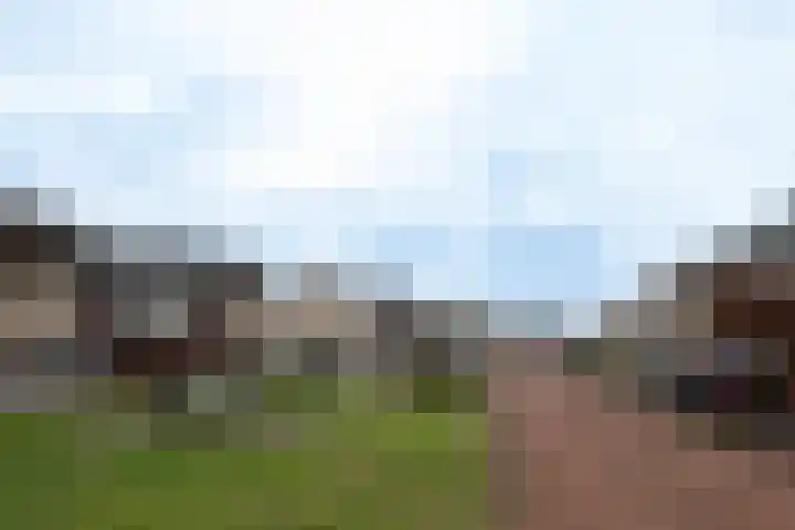 Hermelijnhage 63 Berlicum thumbnail 46