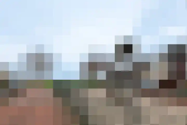 Hermelijnhage 63 Berlicum thumbnail 47