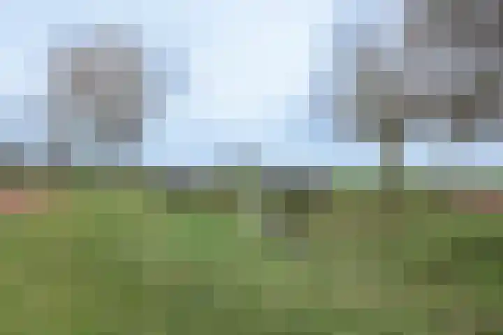 Hermelijnhage 63 Berlicum thumbnail 48