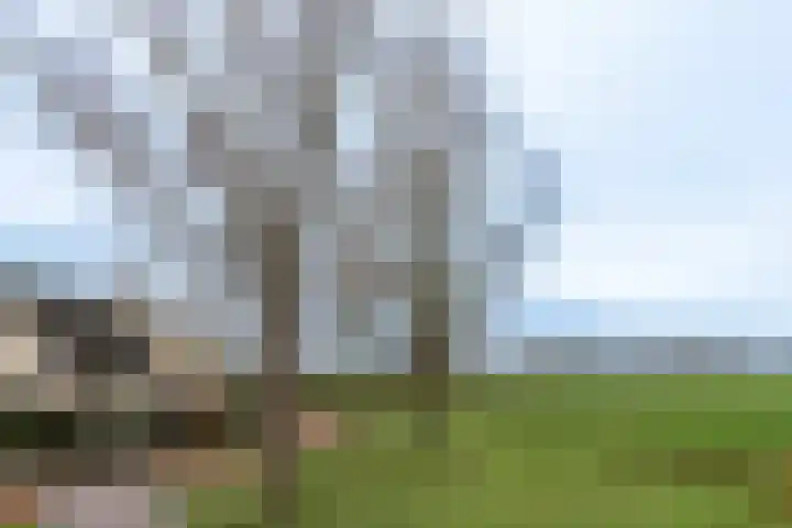 Hermelijnhage 63 Berlicum thumbnail 49