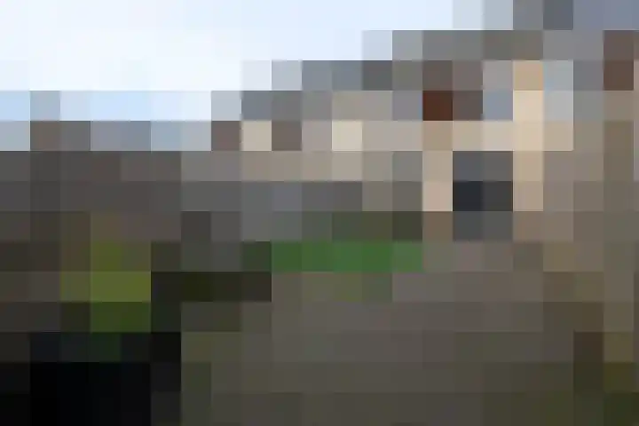 Hermelijnhage 63 Berlicum thumbnail 6
