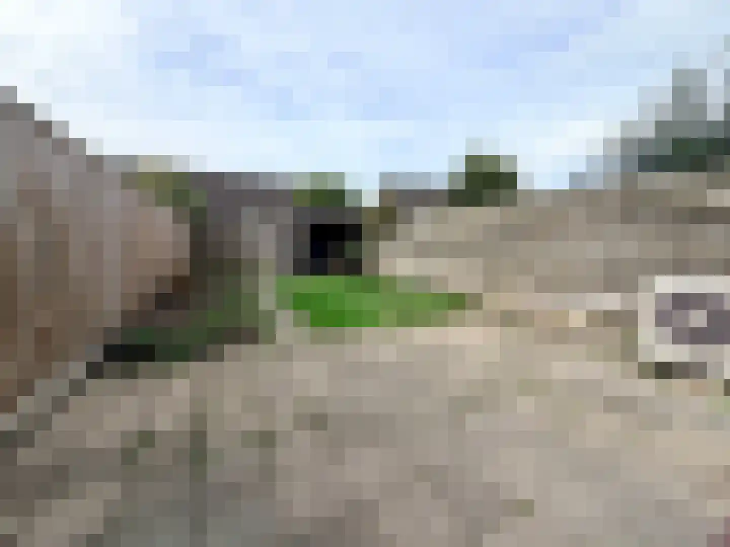 Hermelijnhof 14 Zeewolde thumbnail 10