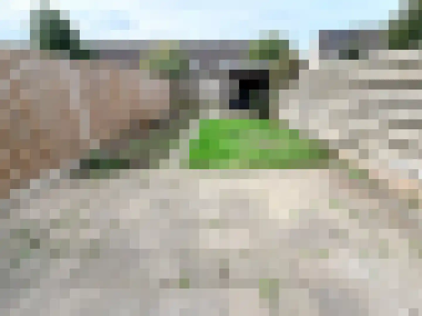 Hermelijnhof 14 Zeewolde thumbnail 11