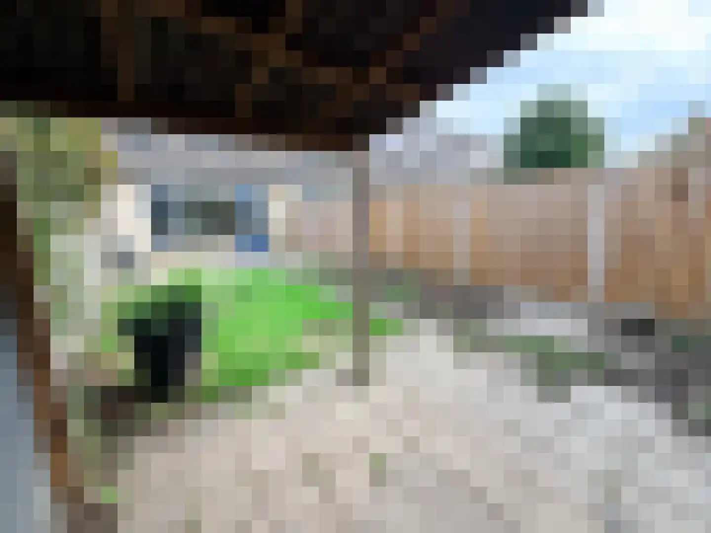 Hermelijnhof 14 Zeewolde thumbnail 13