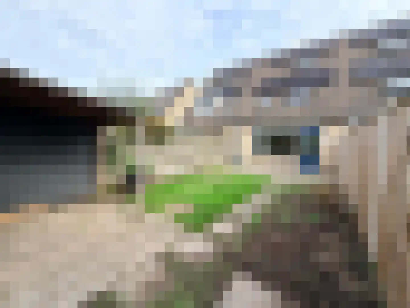 Hermelijnhof 14 Zeewolde thumbnail 14