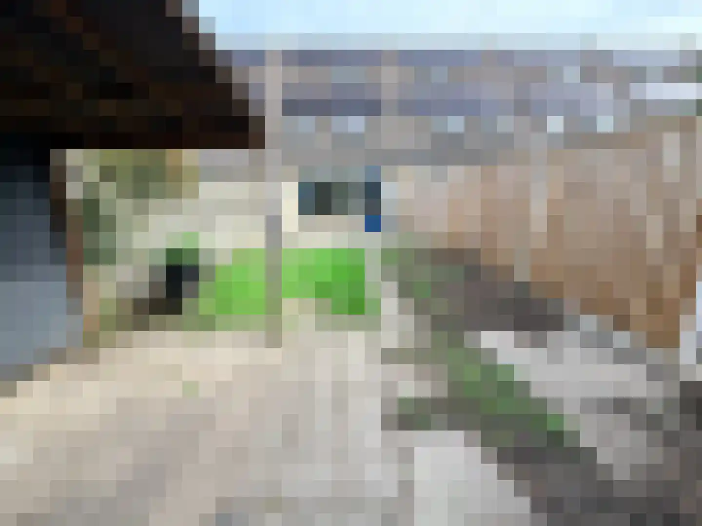 Hermelijnhof 14 Zeewolde thumbnail 16