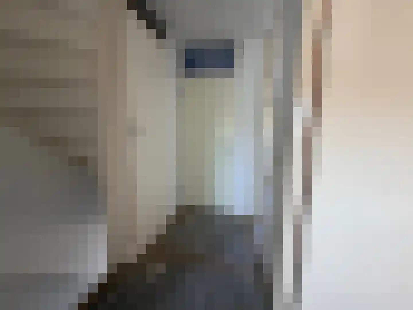 Hermelijnhof 14 Zeewolde thumbnail 17