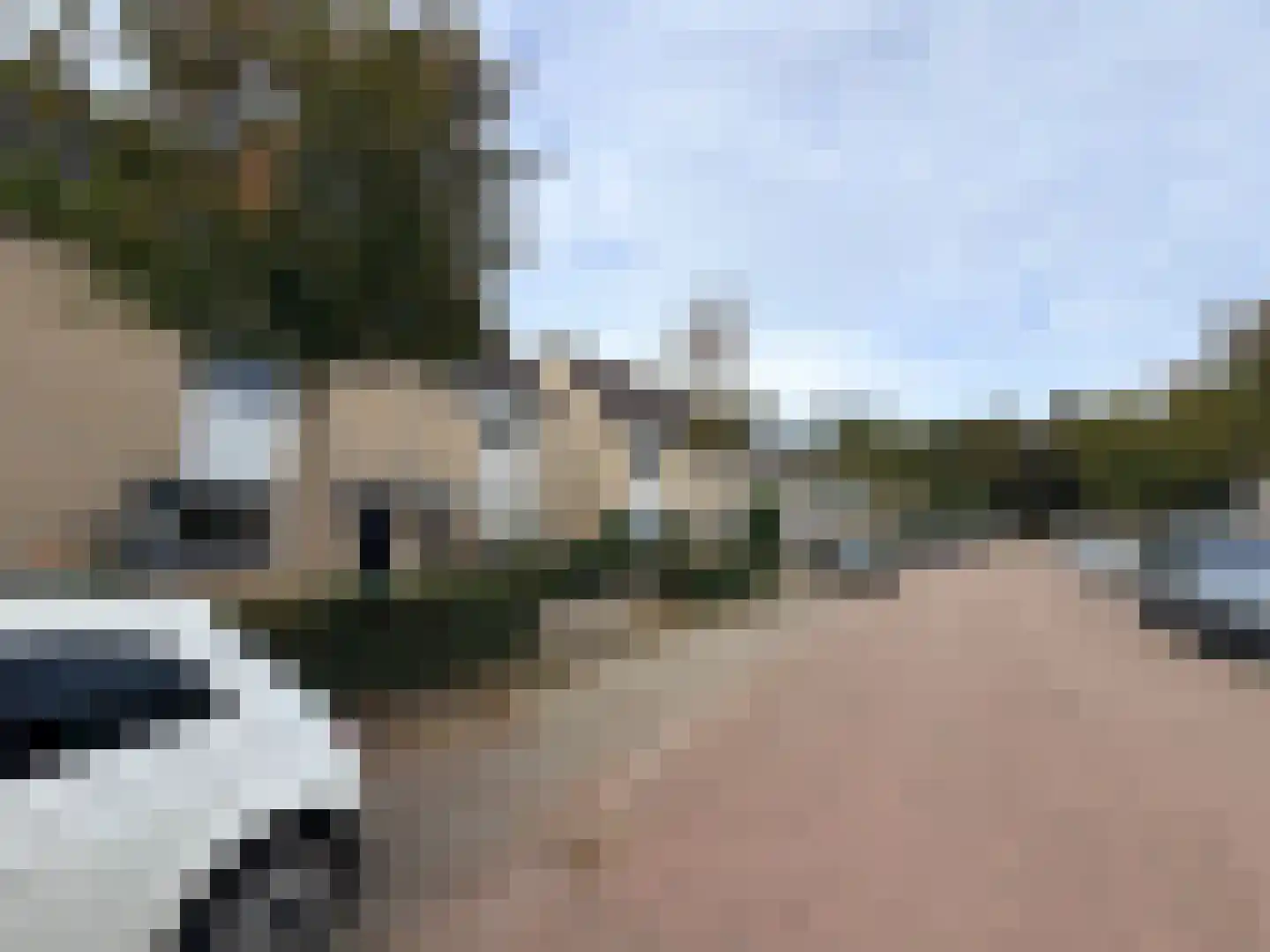 Hermelijnhof 14 Zeewolde thumbnail 34